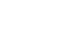 SOCHEDEM